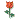 fleur01